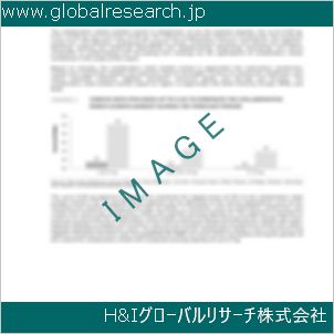 グローバルリサーチ調査資料のイメージ